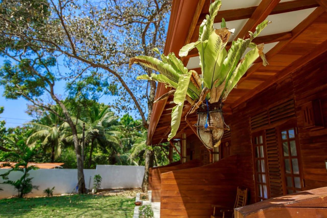 Wood Lodge Mirissa Exterior foto